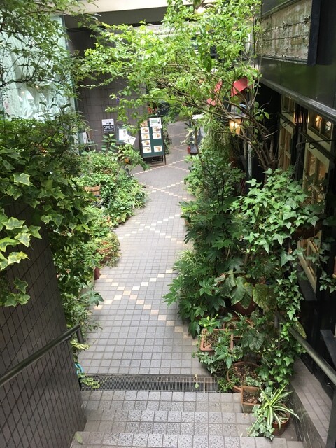 User's recommendation image for オールド・ローズ・ガーデン