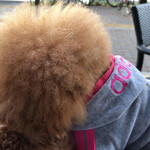 用戶對於スターバックス・コーヒー 四谷3丁目店的評論圖