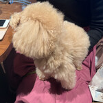User's review image for キンプトン新宿東京