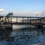 用戶對於カキ小屋ベイサイド的評論圖