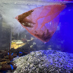 User's review image for 活海老バル orb 福島