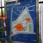用戶對於VORTEX SPORTS CAFE的評論圖