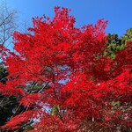 用戶對於紅葉屋的評論圖