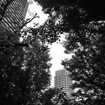 用戶對於熊掌的評論圖