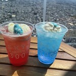 用戶對於SKY GARDEN 300的評論圖