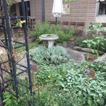 User's review image for ナチュラルガーデン