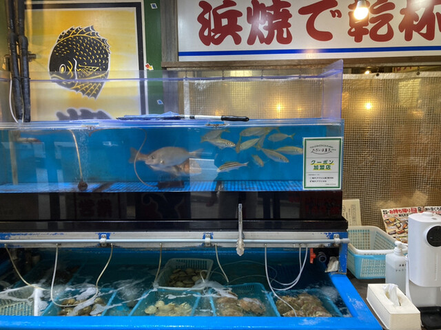 用户对于磯丸水産 高田馬場駅前店的评论高清图