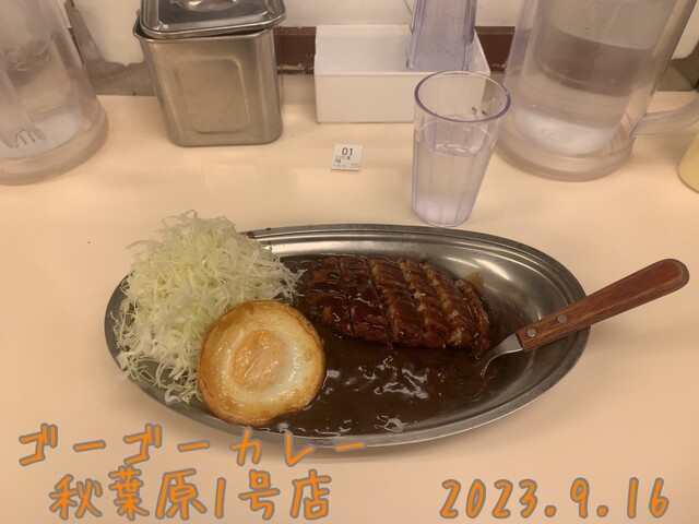 用戶對於ゴーゴーカレー 秋葉原１号店的評論高清圖