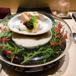 用户对于鮨m的评论图