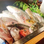 User's review image for なきざかな 新宿店はなれ