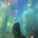 User's review image for POSS COFFEE