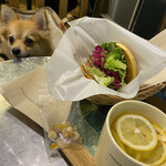 User's review image for フレッシュネスバーガー 下北沢店