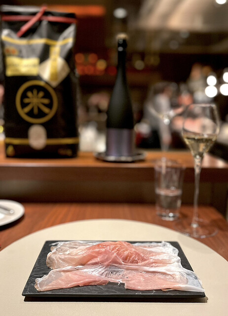 User's recommendation image for スガラボヴィー