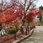 User's review image for みかえり茶屋