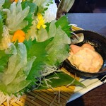 用户对于魚と旬菜と日本酒　炙りのどまん中的评论图