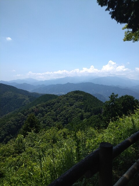 用户对于景信山頂上　景信茶屋　青木的评论高清图