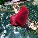 用户对于鮨西光的评论图