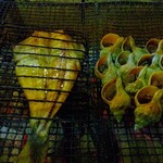用户对于炉ばたカニ鮮的评论图