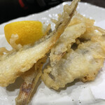 User's review image for ツン
