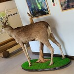 用戶對於知床五湖レストハウス的評論圖