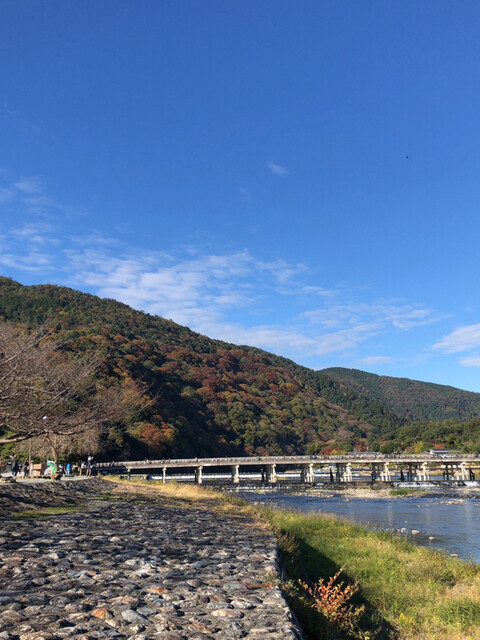用戶對於嵐山熊彦 たん熊北店的評論高清圖