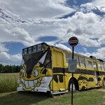 User's review image for くまげら