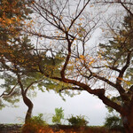 用户对于BECK'S COFFEE SHOP 四ッ谷店的评论图