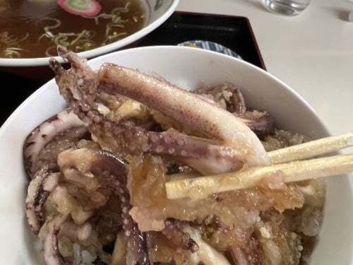用户对于花ちゃん的评论图