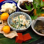 用户对于きらら的评论图