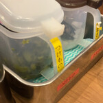 User's review image for 町田商店 本店