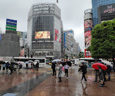 用戶對於卵と私 渋谷八番街店的評論圖