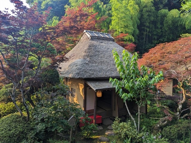 User's recommendation image for うかい竹亭