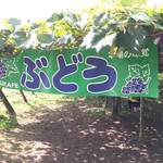 用戶對於ニトリ観光果樹園的評論圖