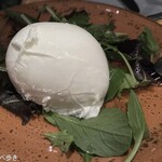 用户对于オービカ モッツァレラ バー 六本木ヒルズ店的评论图