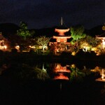 User's review image for さが美