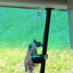 用戶對於知床五湖レストハウス的評論圖