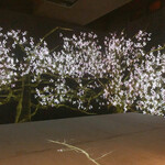 User's review image for 佐賀牛 Sagaya 銀座