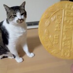 User's review image for なんばグランド花月