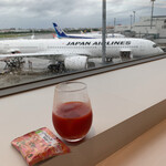 用戶對於ANA ラウンジ 福岡空港 国内線的評論圖