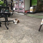 用户对于みきもと屋酒店的评论图