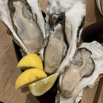 用户对于四ツ谷オイスターズインク的评论图