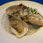 用戶對於シェルポ的評論圖