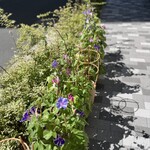 用戶對於日本橋ロータス的評論圖