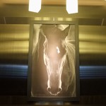 用户对于Ｌ的评论图