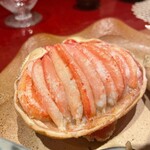 用戶對於白川たむら的評論圖