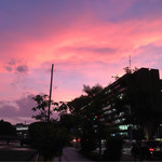 User's review image for 神戸屋 九段下駅店