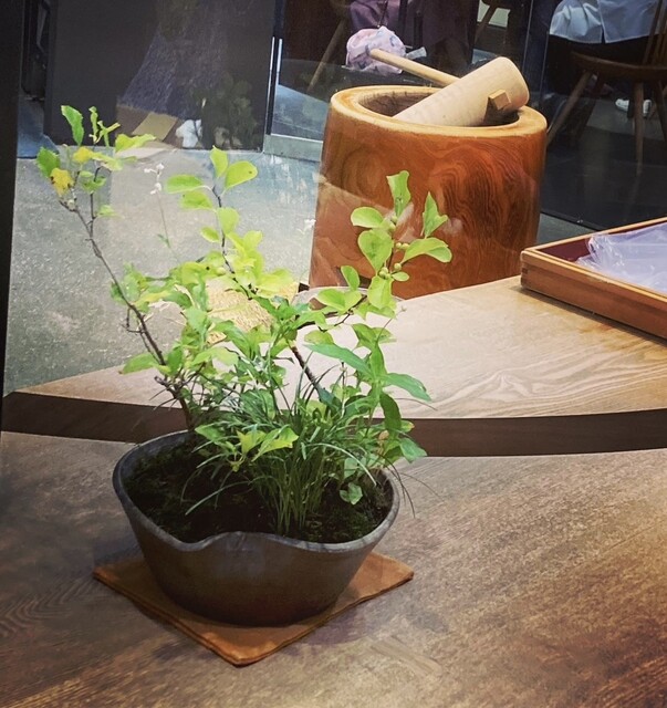 User's recommendation image for たねや茶屋