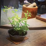 User's review image for たねや茶屋