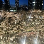 用戶對於日本橋海鮮丼 つじ半 ミッドタウン店的評論圖