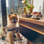 User's review image for MARRON PAPIER of seoul
